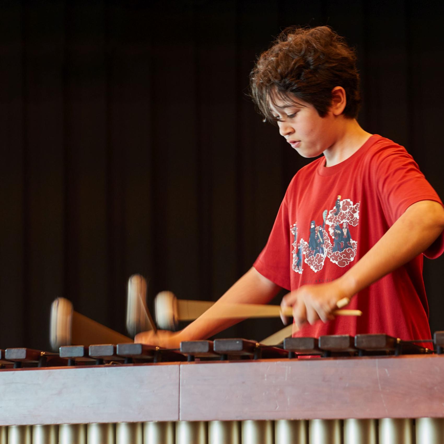 VIRTUOSO 2024 - Marimba (c) Willem Oisseur